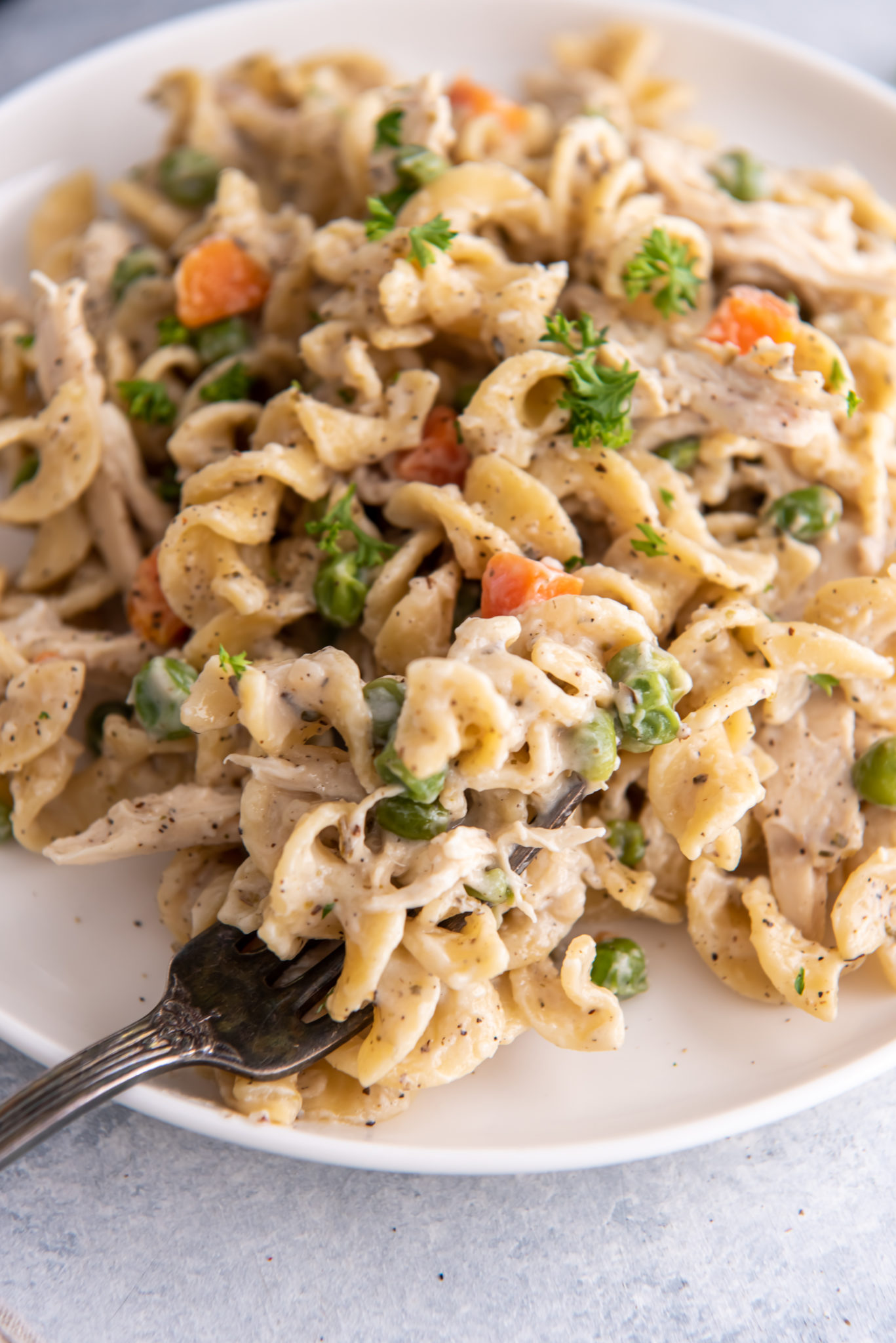 pot pie noodles on a white plate