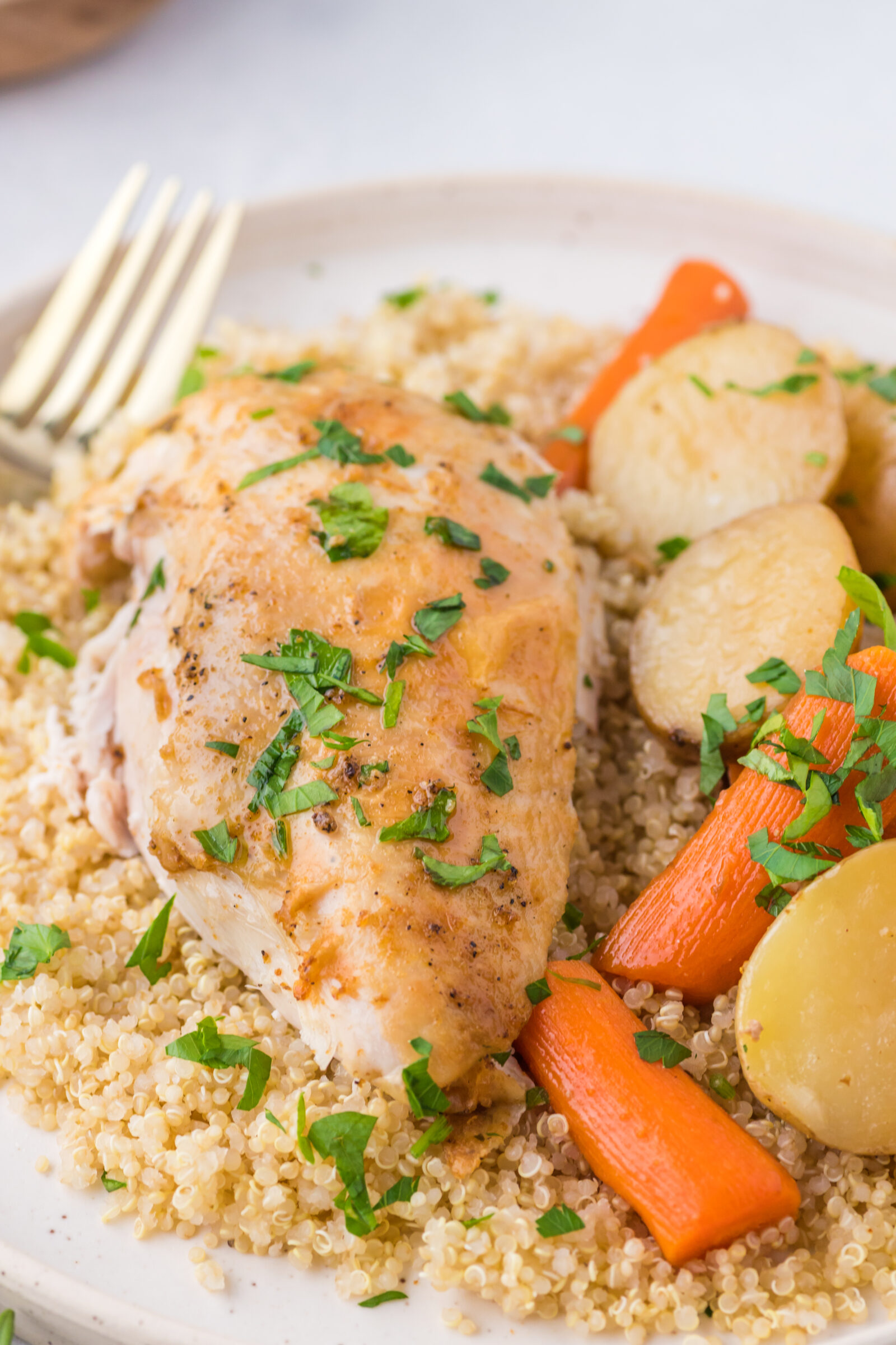 A portion of slow cooked chicken with veggies on a plate. 