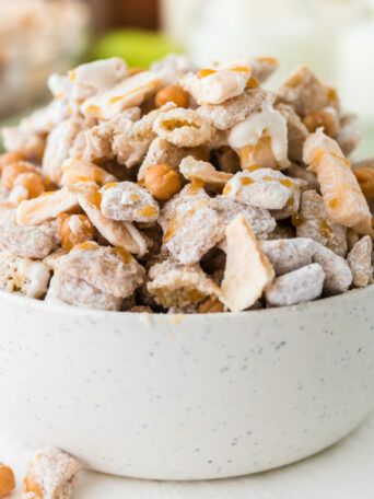 puppy chow in a white bowl