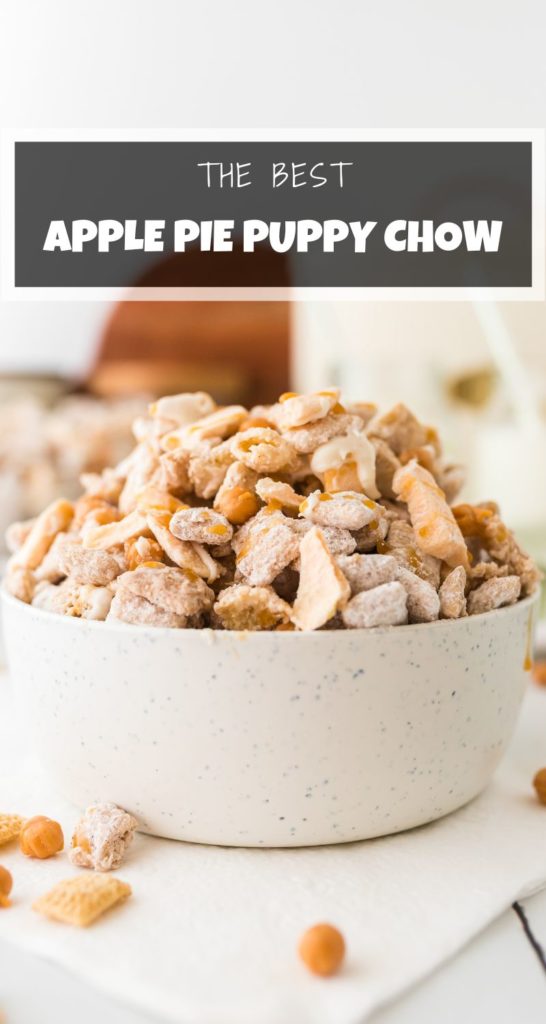 puppy chow in a white bowl