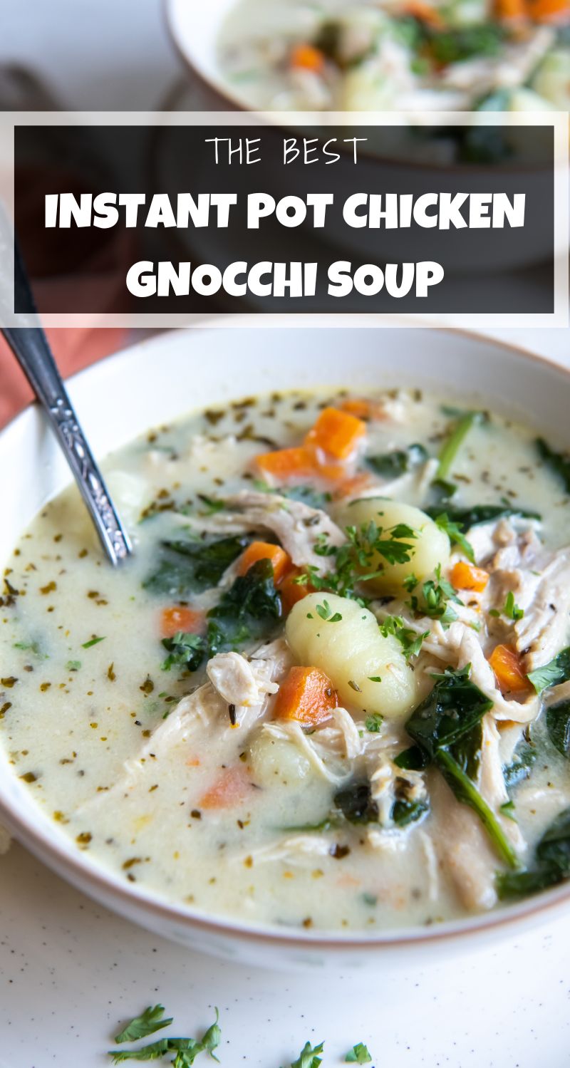 Instant Pot Chicken Gnocchi Soup Pumpkin 'N Spice