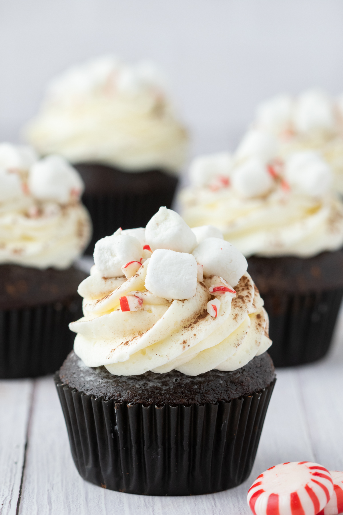 Four hot chocolate cupcakes topped with marshmallow buttercream frosting. 