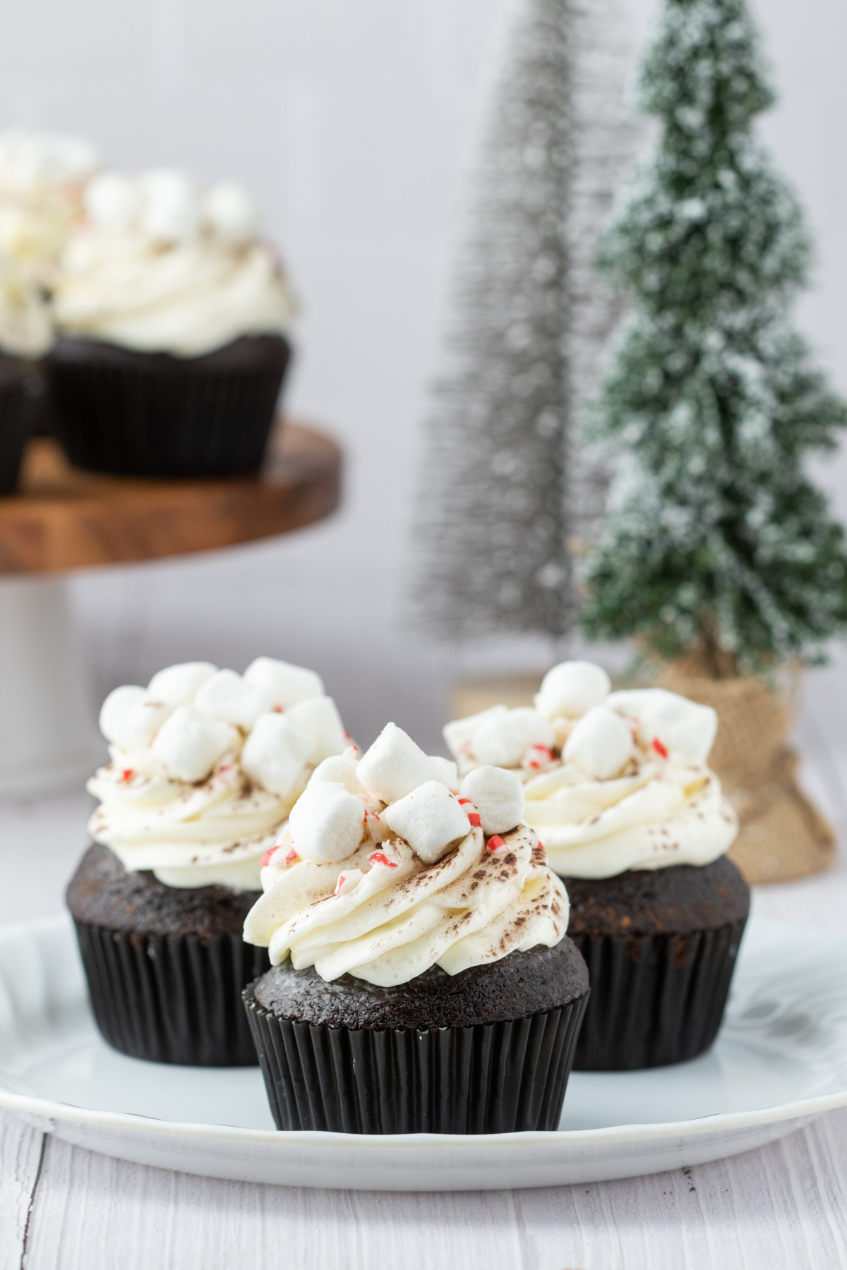 Three hot chocolate cupcakes on a white plate. 