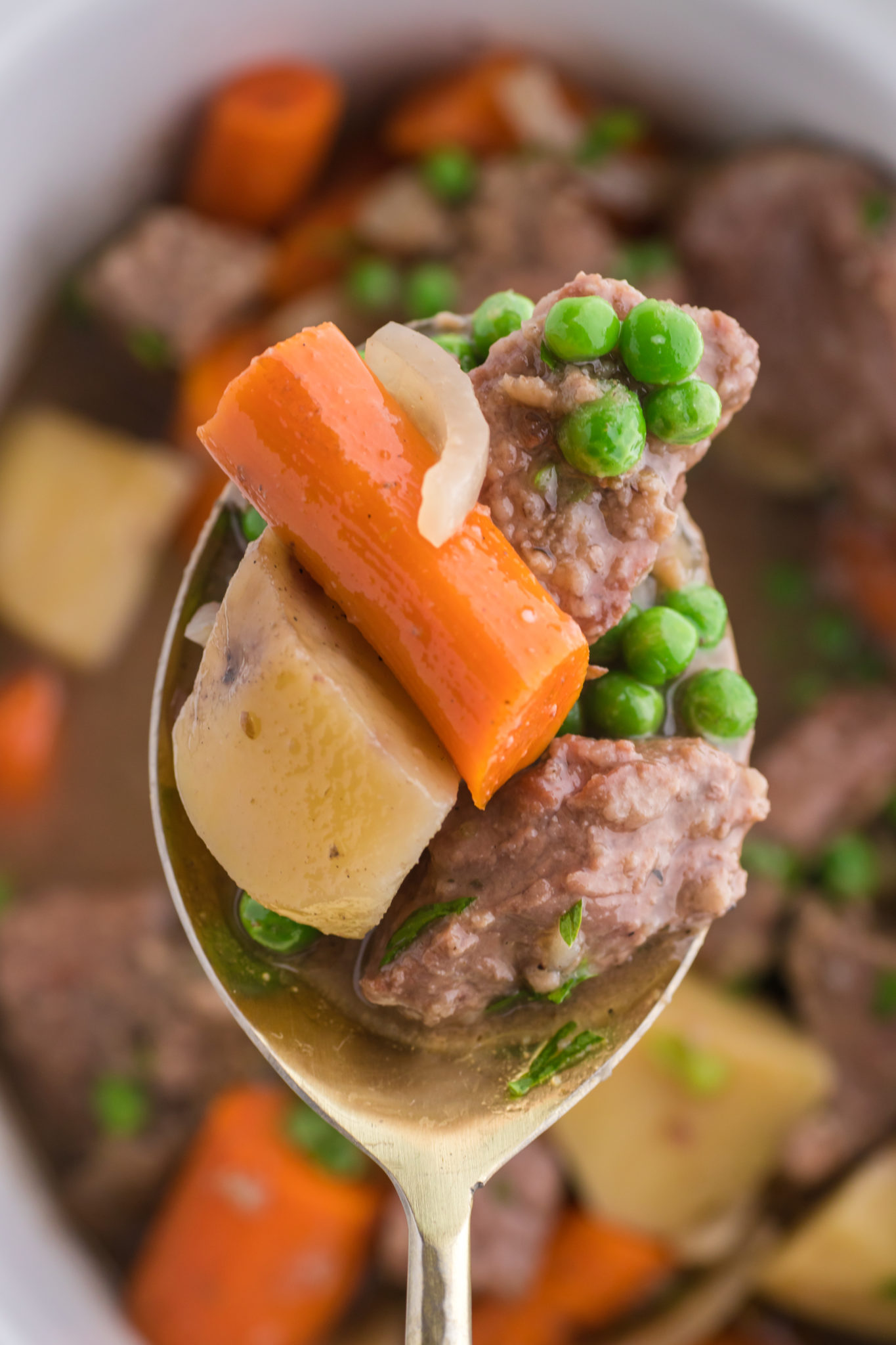 A spoonful of slow cooked beef stew, held aloft.