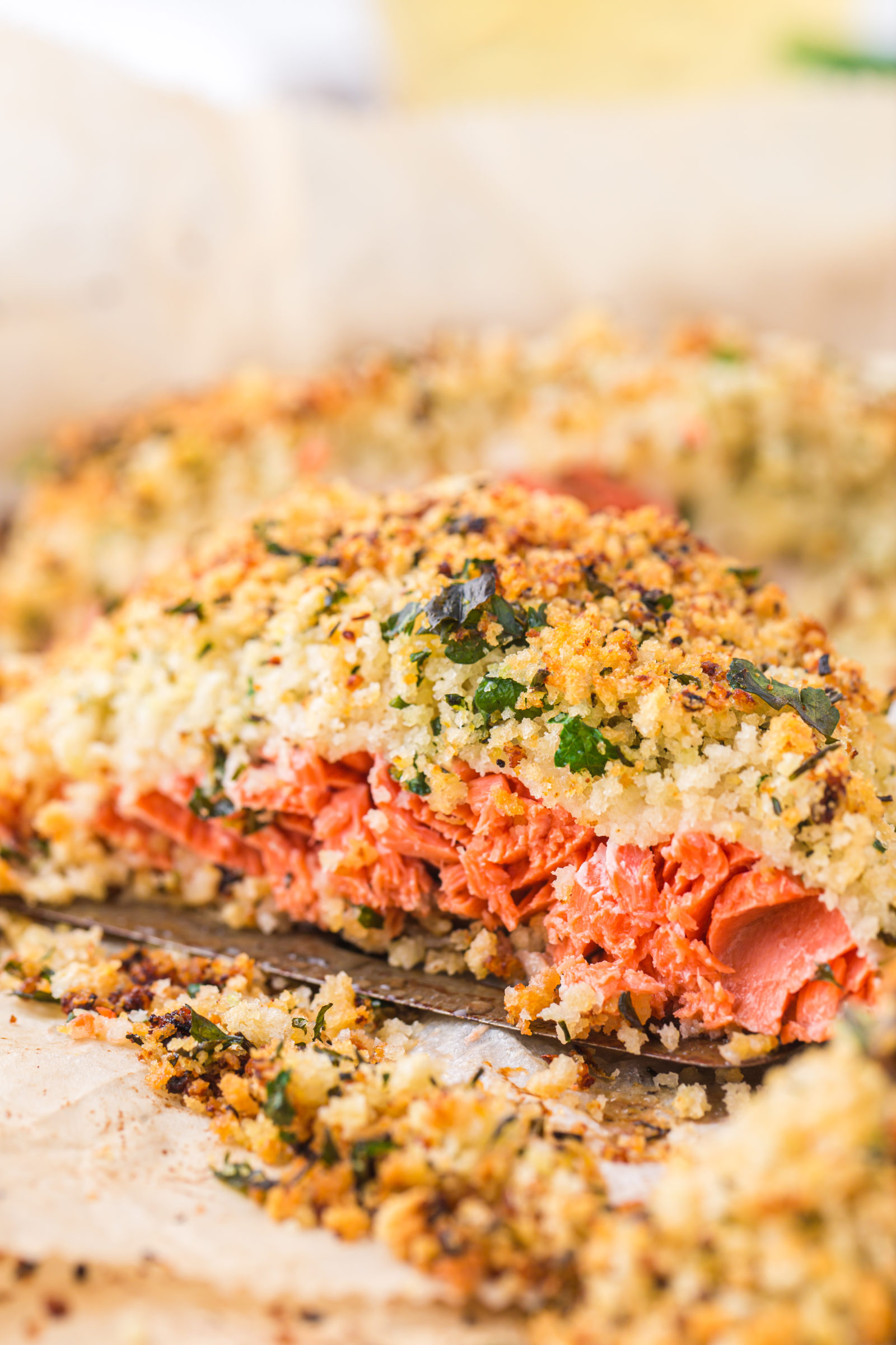 Side view of a whole filet of salmon with an herb crust. 