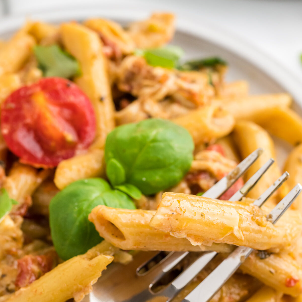 pasta on a white plate with a fork