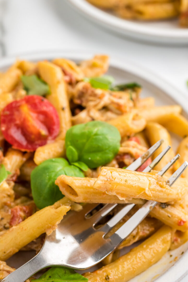 pasta on a white plate with a fork