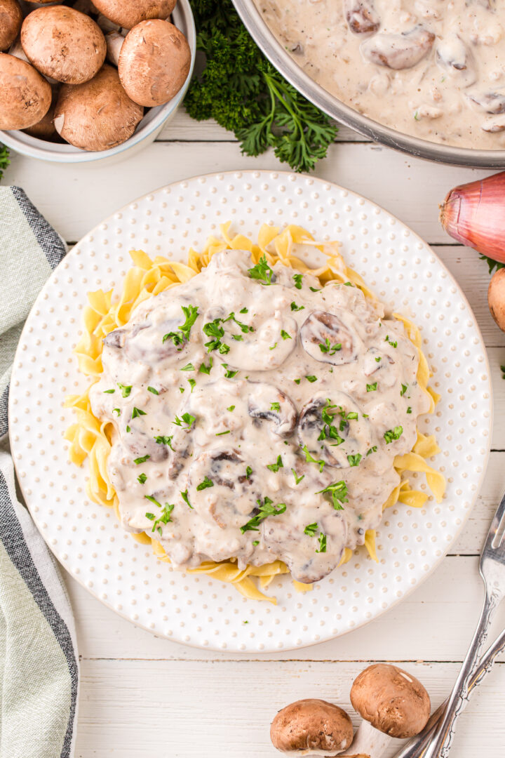 stroganoff on a white plate