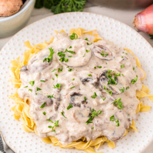 stroganoff on a white plate