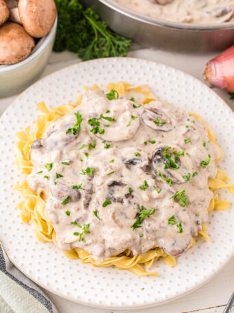 stroganoff on a white plate