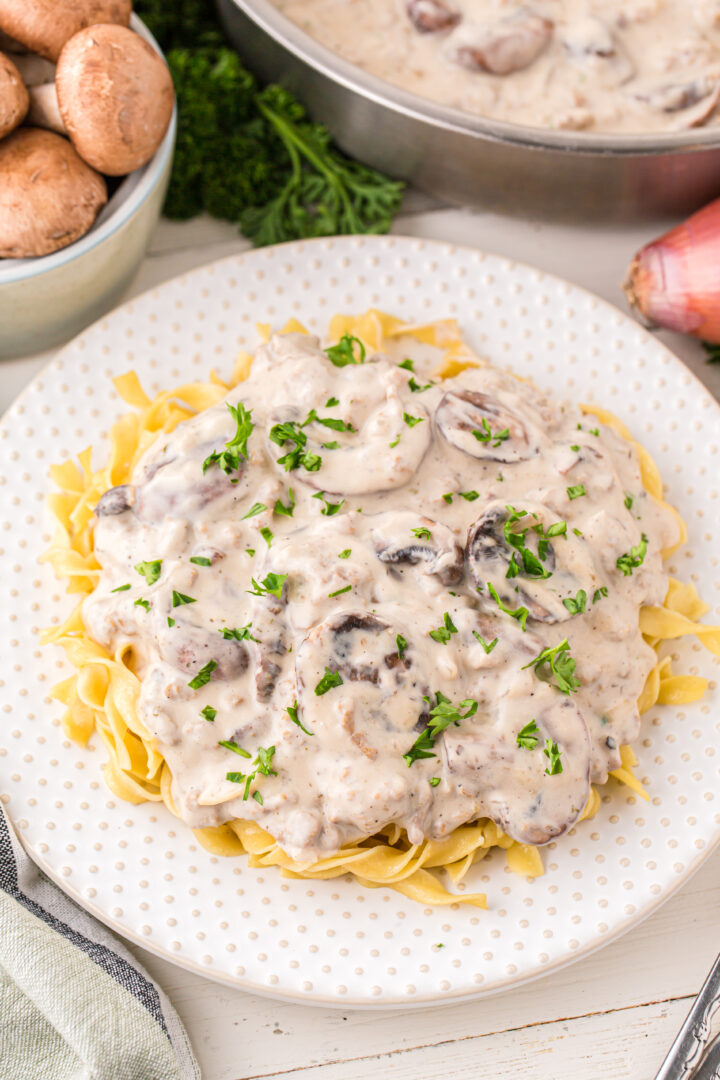 stroganoff on a white plate