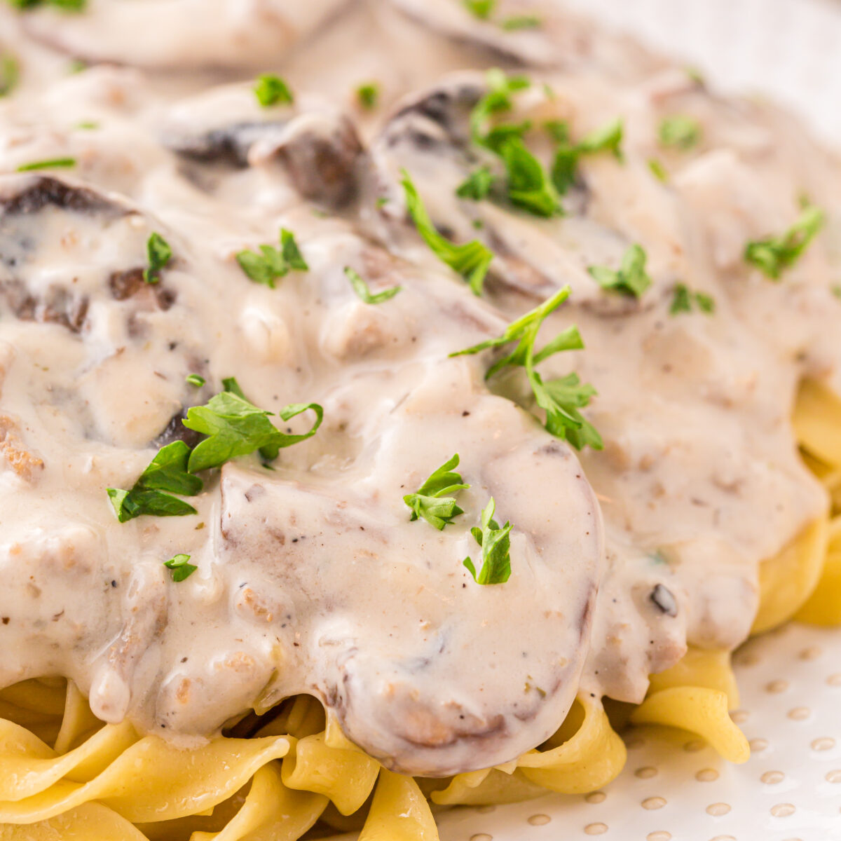 stroganoff on a white plate
