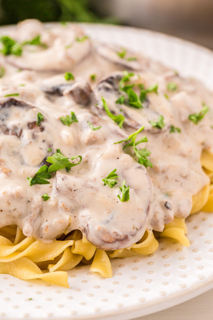 stroganoff on a white plate