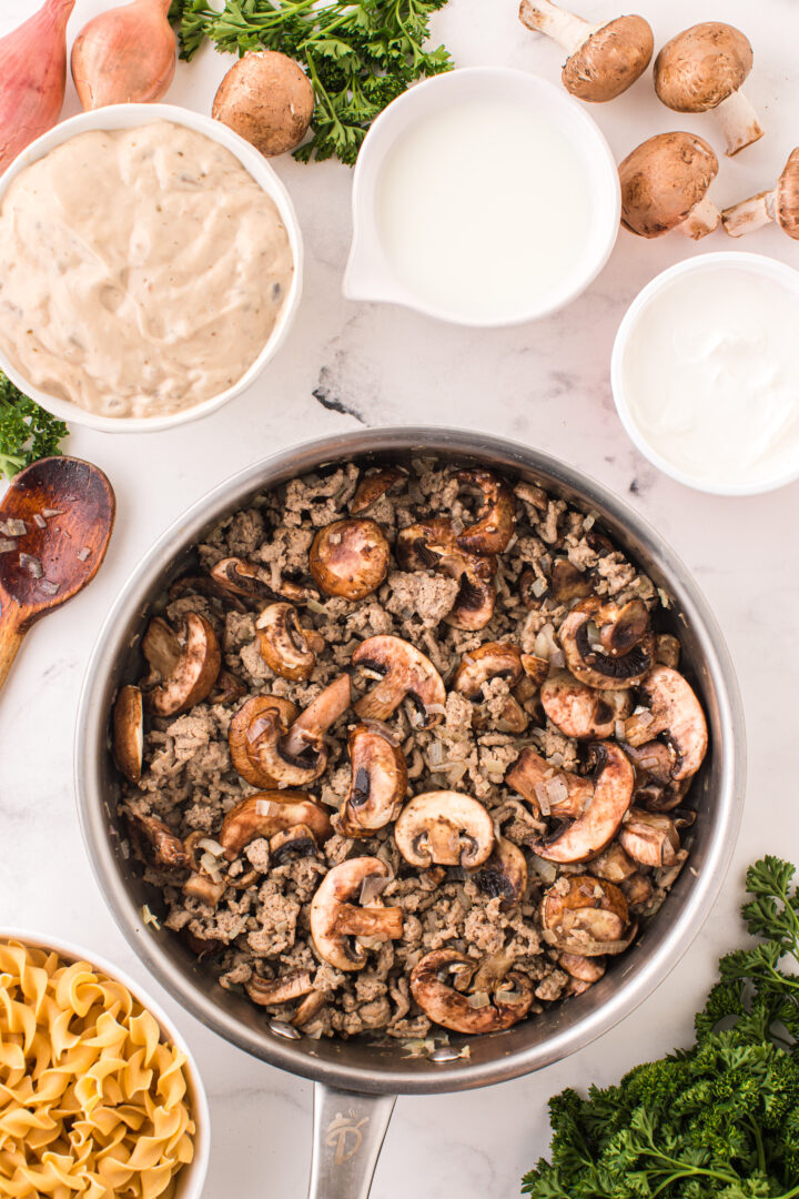 stroganoff ingredients on a white background