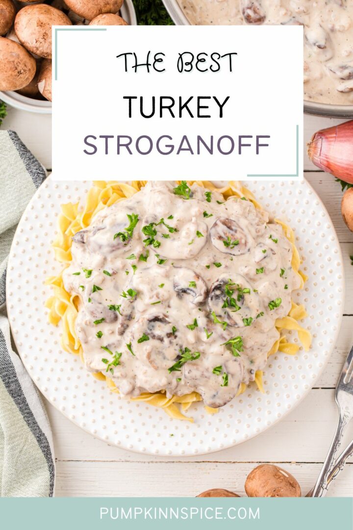 stroganoff on a white plate