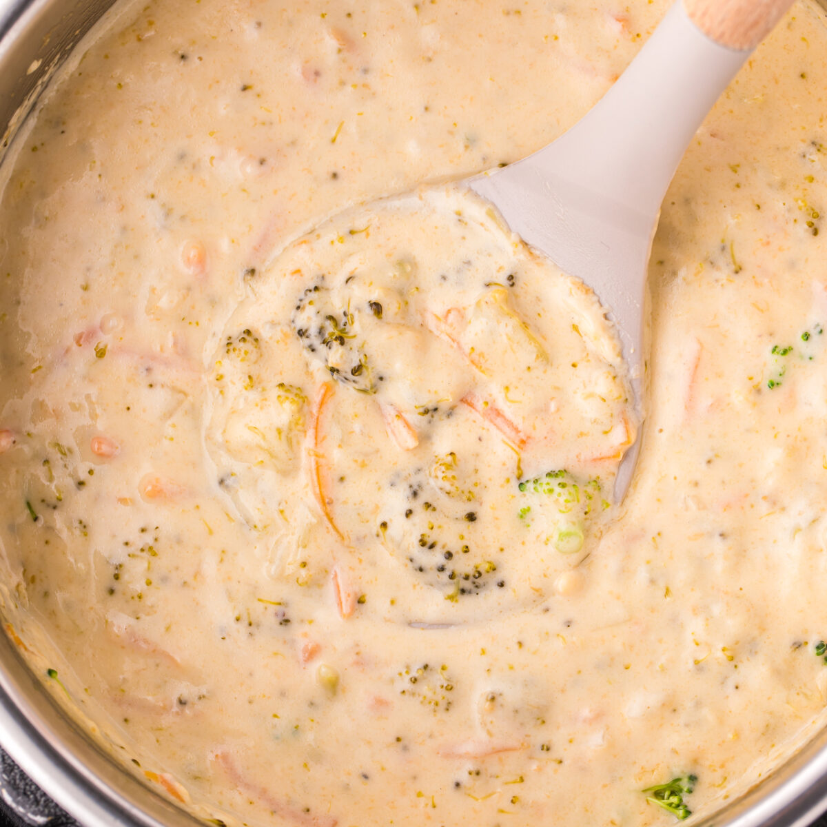 soup in instant pot