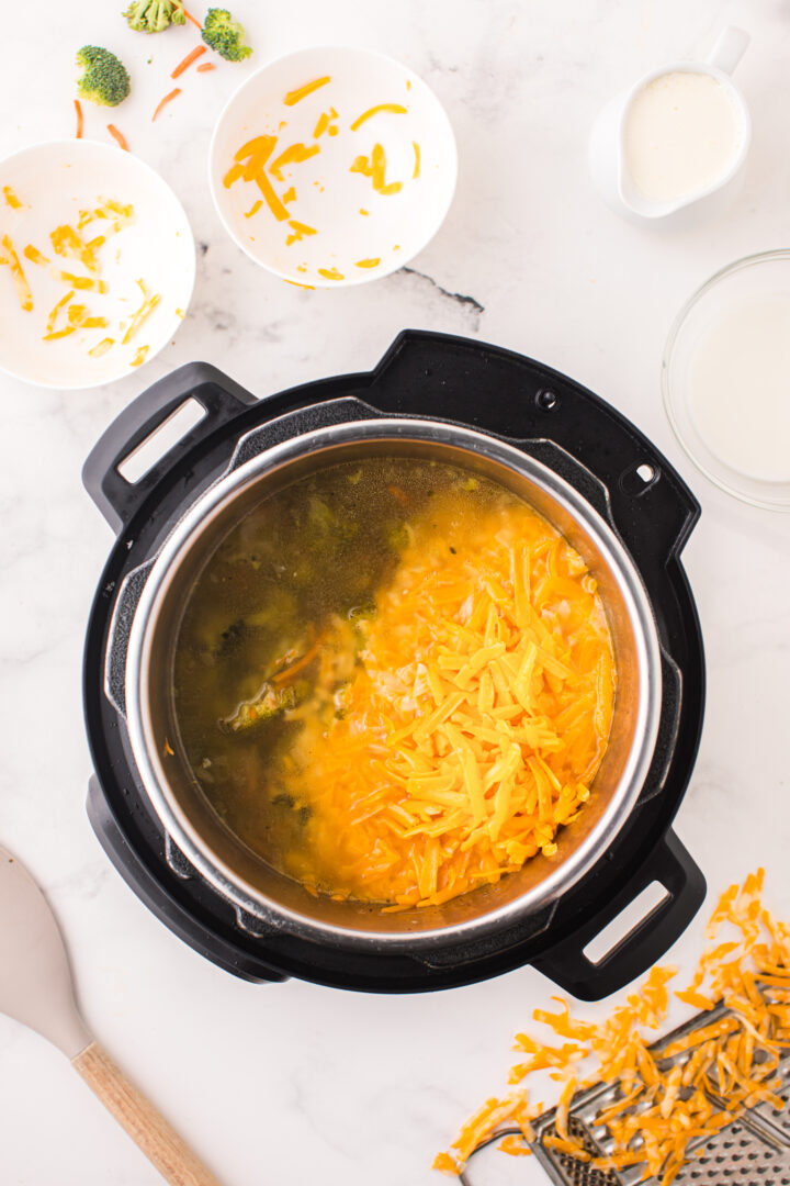 ingredients in instant pot