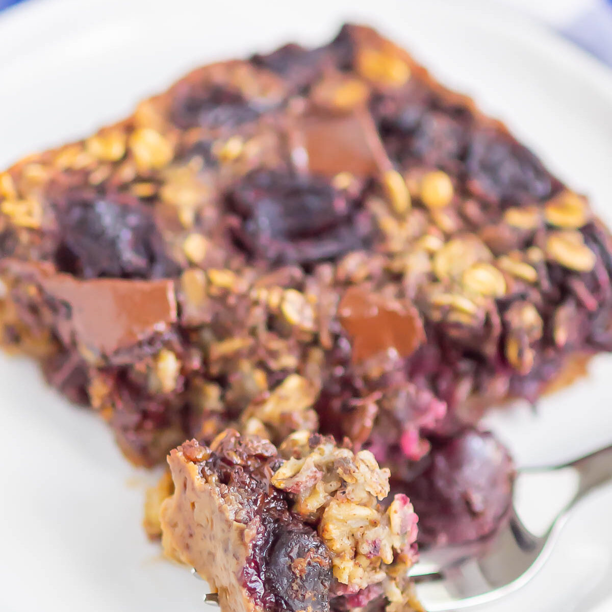 A close-up of a square slice of cherry chocolate chunk baked oatmeal with visible cherries and oats on a white plate, a fork holding a bite-sized piece in the foreground.