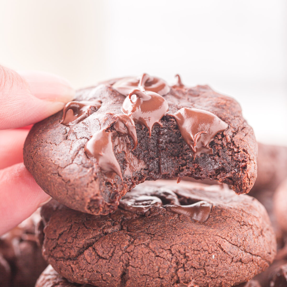 a stack of cookies with a hand shown holding one cookie with a bite taken out of it