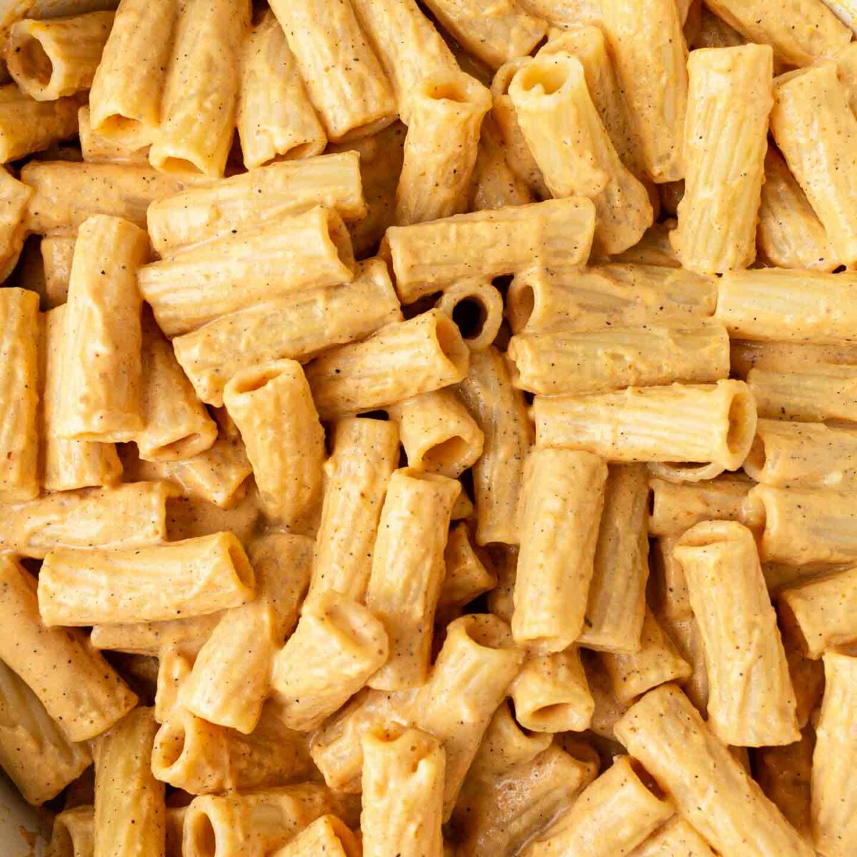 pasta tossed in pumpkin alfredo sauce in a white skillet