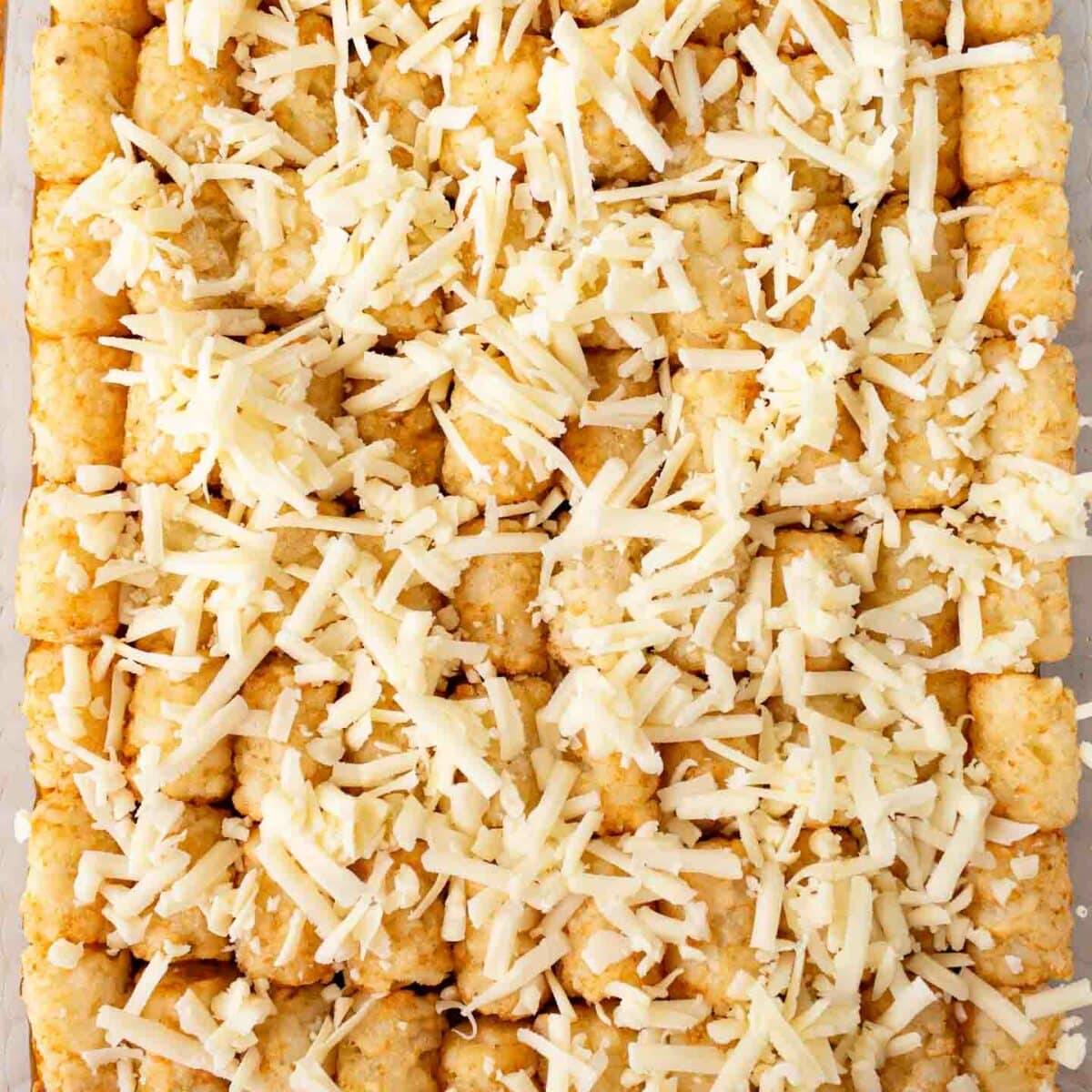 casserole in a dish with tater tots and shredded cheese