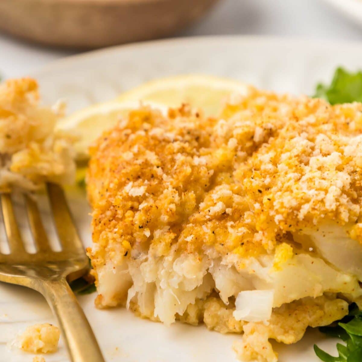 cod plated with a forkful of cod and a green salad