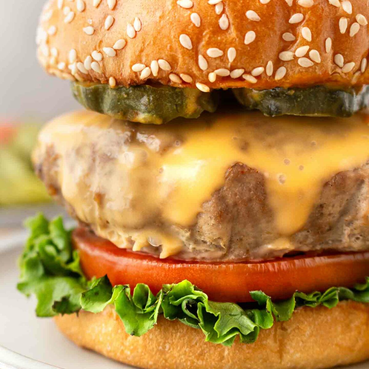 closeup of a turkey burger on a bun with lettuce, tomato, and cheese