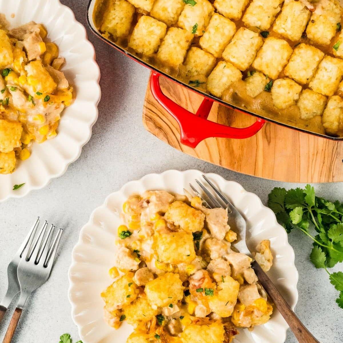 A casserole dish filled with crispy tater tots on top of a creamy casserole sits on a wooden board. Two plates with servings of the casserole are nearby, garnished with herbs. Forks are placed beside the plates. Fresh cilantro decorates the scene.