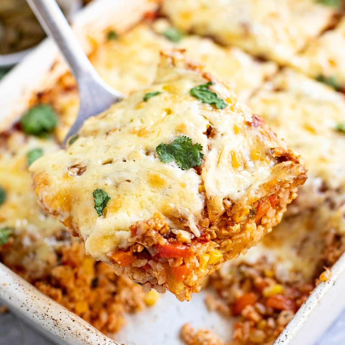 A square slice of cheesy baked casserole with quinoa, vegetables, and herbs is lifted from a baking dish. The dish is garnished with cilantro and appears hot and freshly cooked.