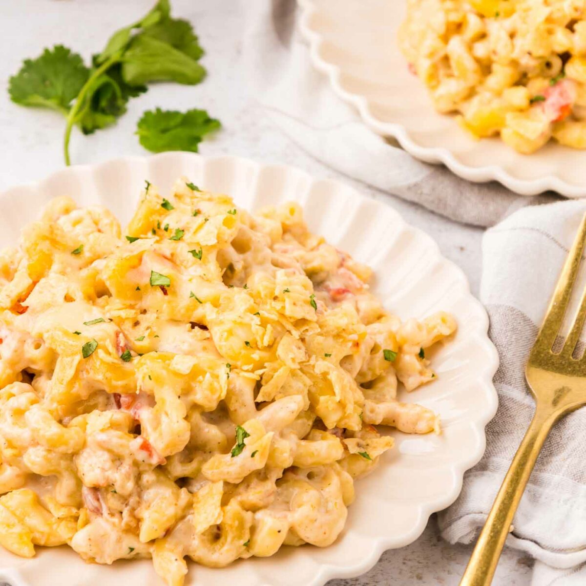 close-up of mac and cheese shown on a white plate