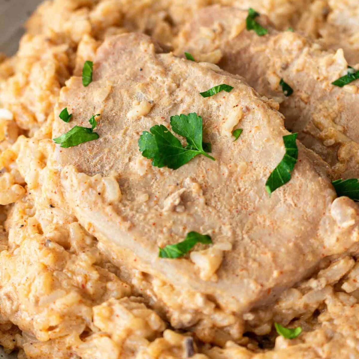 Close-up of creamy pork chops with rice, garnished with fresh parsley. The dish appears rich and hearty, with the rice and sauce enveloping the tender-looking pork slices on a gray plate.