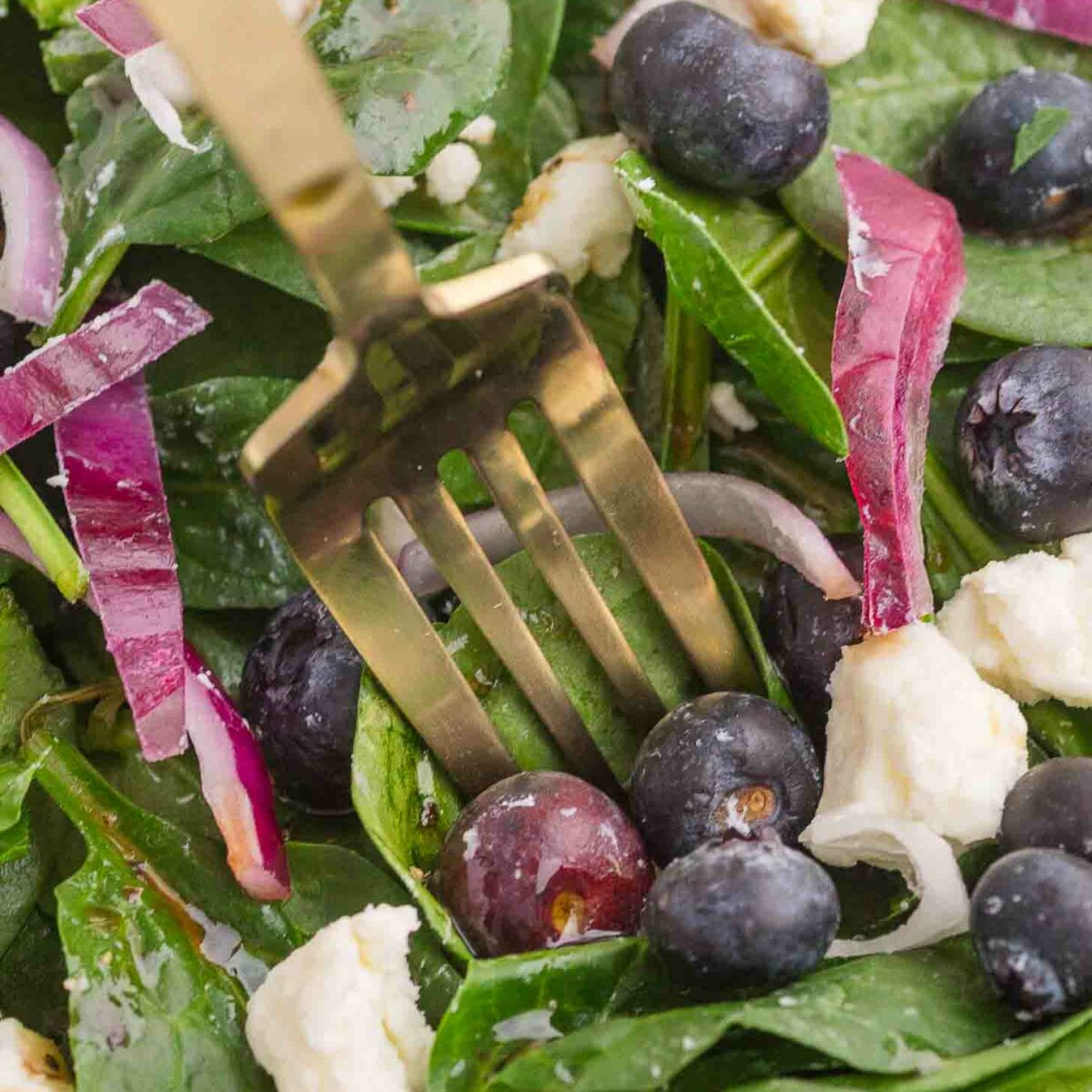 A close-up of a fresh salad featuring spinach leaves, blueberries, red onion slices, crumbled feta cheese, and a single grape. A gold fork is visible in the center, piercing the ingredients.