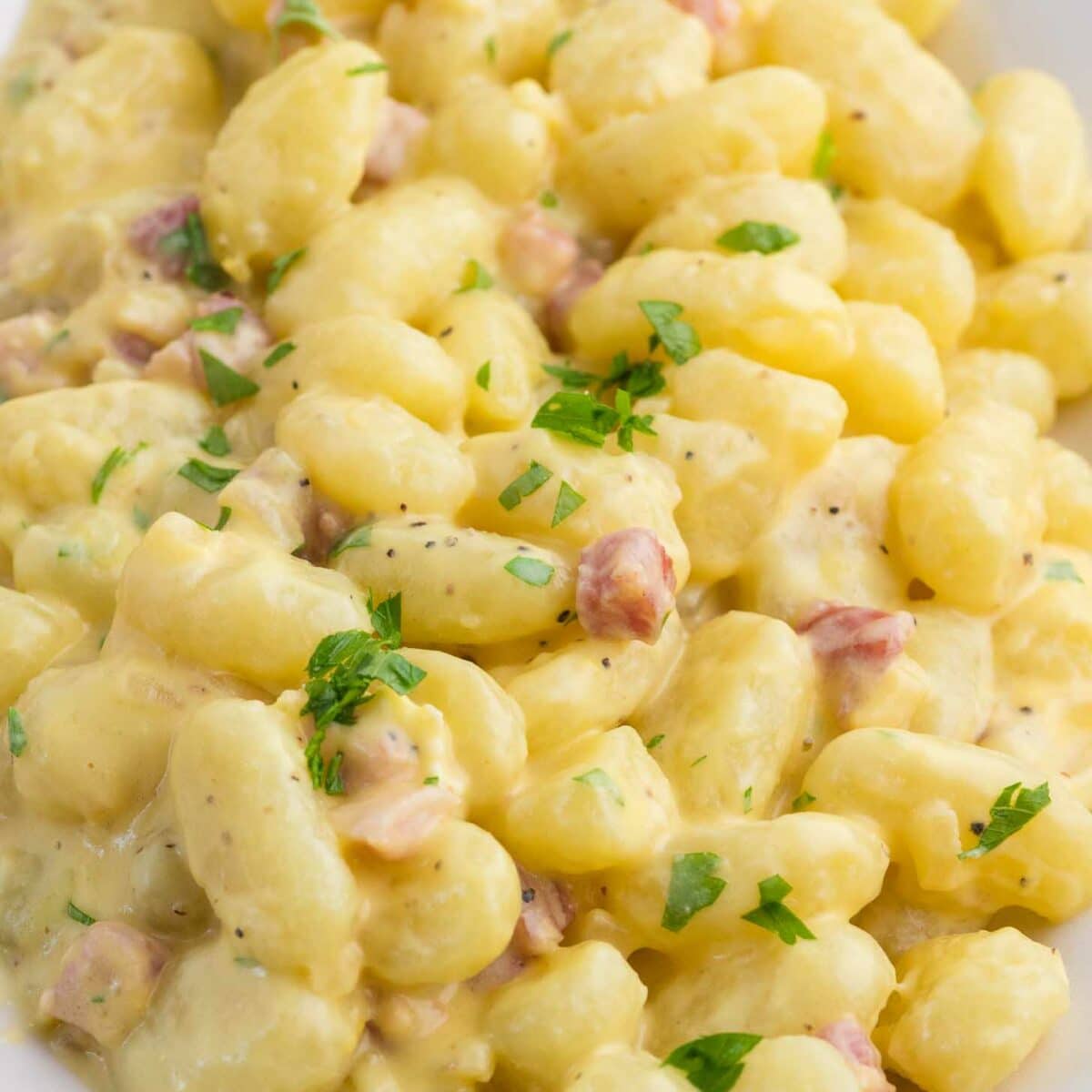 A white plate filled with creamy gnocchi in a cream sauce, garnished with chopped parsley and small pieces of pancetta.
