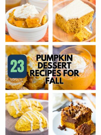 A collage of pumpkin desserts, including cake, mousse, scones, and bars, with text overlay: 23 Pumpkin Dessert Recipes for Fall. Website pumpkinnspice.com appears at the bottom.