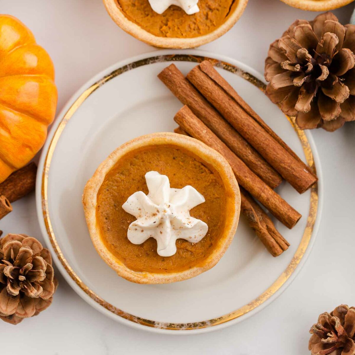 A mini pumpkin pie topped with whipped cream sits on a plate with three cinnamon sticks, surrounded by pinecones and a small pumpkin on a white surface.