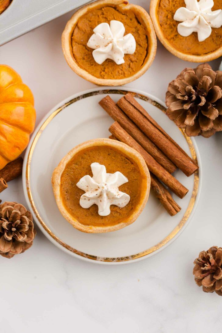 A mini pumpkin pie topped with whipped cream sits on a plate with three cinnamon sticks, surrounded by pinecones and a small pumpkin on a white surface.