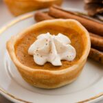 A mini pumpkin pie topped with whipped cream sits on a white plate with a gold rim, next to cinnamon sticks. Other mini pies and a pinecone are blurred in the background.