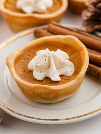 A mini pumpkin pie topped with whipped cream sits on a white plate with a gold rim, next to cinnamon sticks. Other mini pies and a pinecone are blurred in the background.