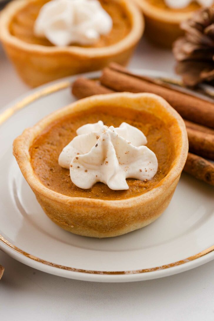A mini pumpkin pie topped with whipped cream sits on a white plate with a gold rim, next to cinnamon sticks. Other mini pies and a pinecone are blurred in the background.