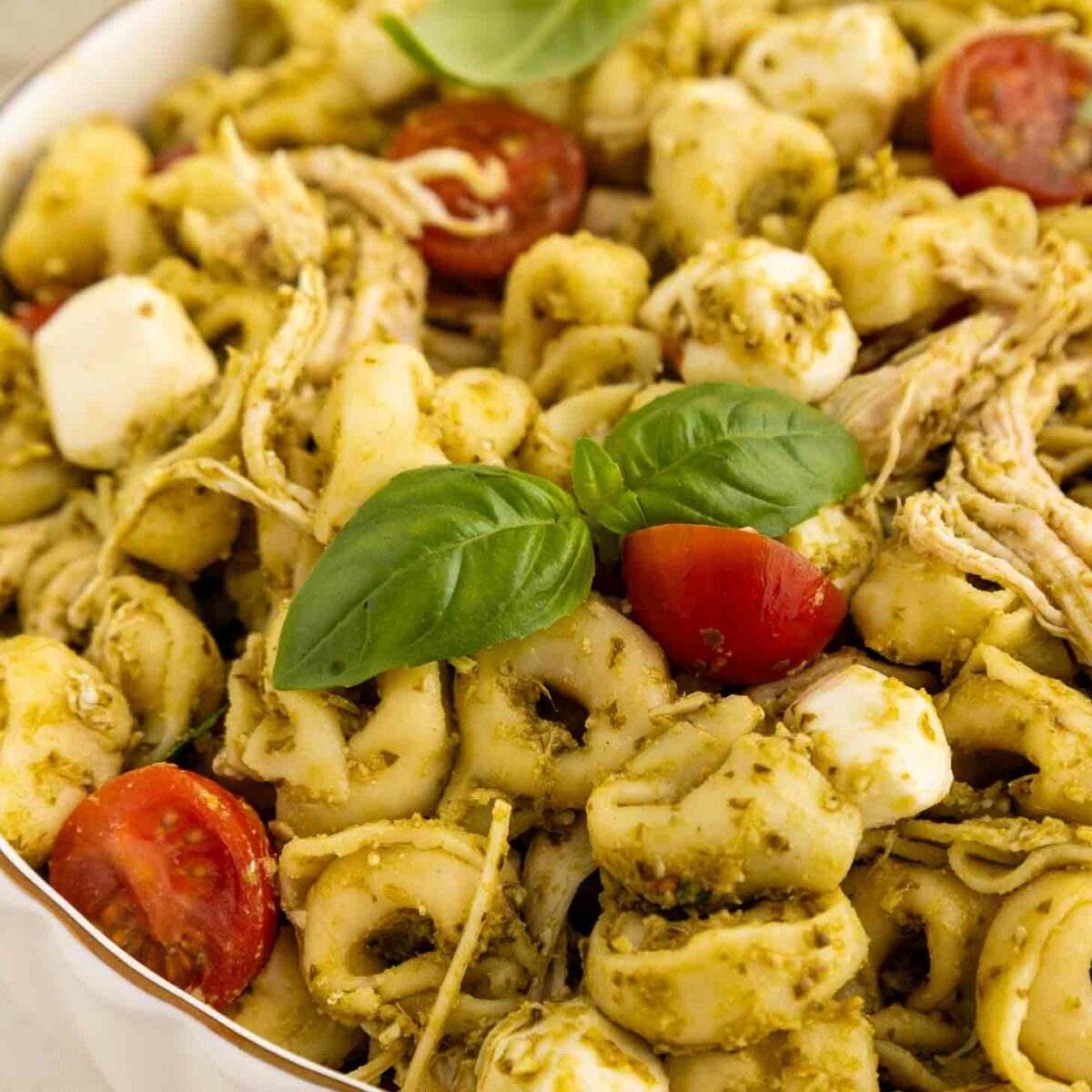 A bowl of tortellini pasta salad with shredded chicken, cherry tomatoes, mozzarella balls, pesto sauce, and fresh basil leaves on top.