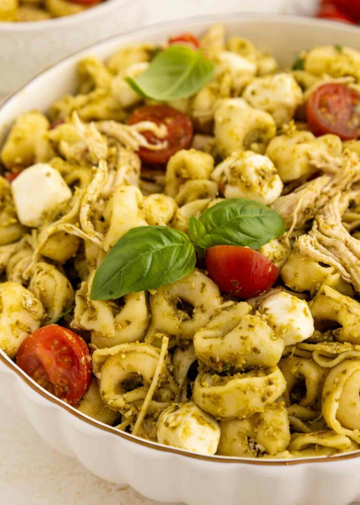 A bowl of tortellini pasta salad with shredded chicken, cherry tomatoes, mozzarella balls, pesto sauce, and fresh basil leaves on top.